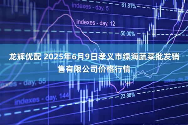 龙辉优配 2025年6月9日孝义市绿海蔬菜批发销售有限公司价格行情
