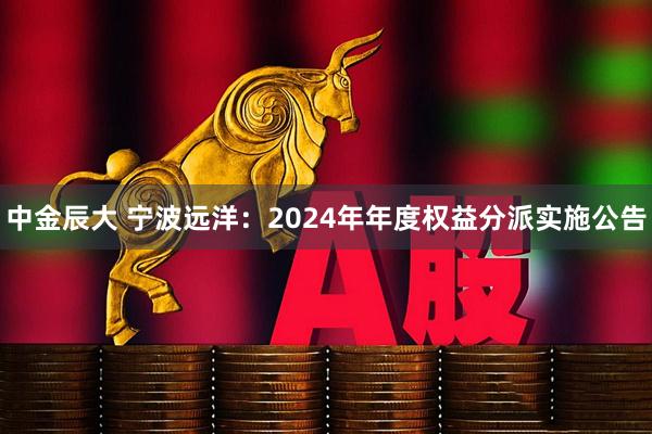 中金辰大 宁波远洋：2024年年度权益分派实施公告