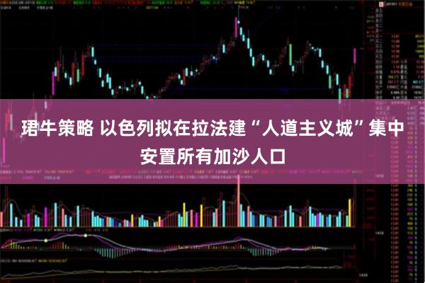 珺牛策略 以色列拟在拉法建“人道主义城”集中安置所有加沙人口