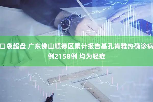 口袋超盘 广东佛山顺德区累计报告基孔肯雅热确诊病例2158例 均为轻症