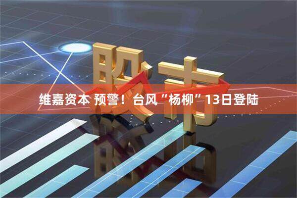 维嘉资本 预警！台风“杨柳”13日登陆