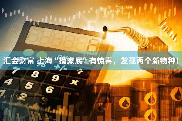 汇金财富 上海“摸家底”有惊喜，发现两个新物种！