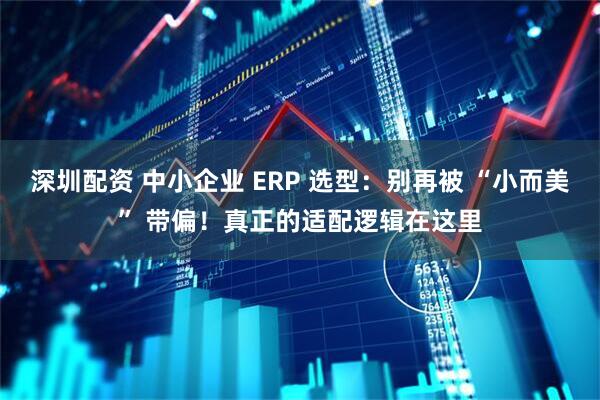 深圳配资 中小企业 ERP 选型：别再被 “小而美” 带偏！真正的适配逻辑在这里